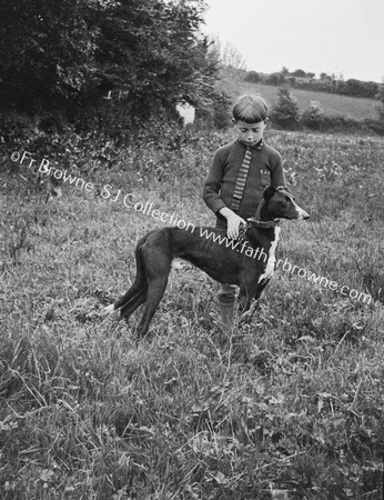 BOY WITH GREYHOUND